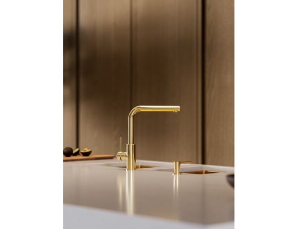 ZEOS – P MONARH bronze - Image 5